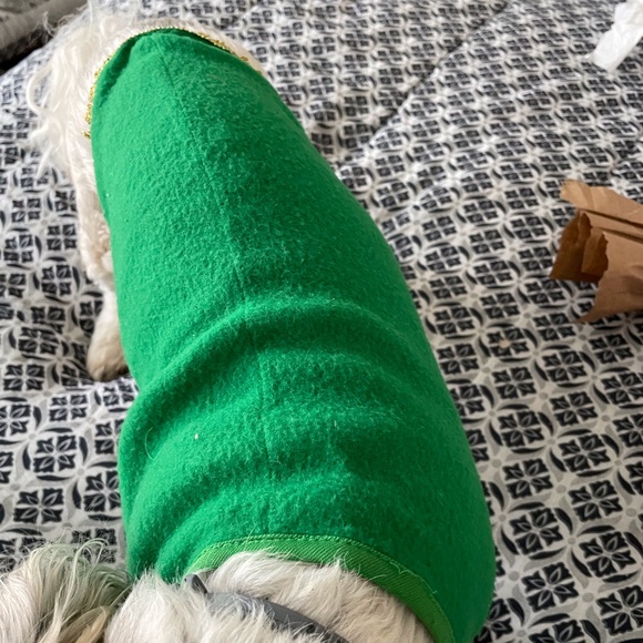 4 Small dog Halloween costumes - Picture 9 of 14